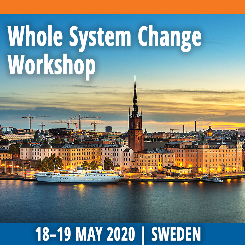 Whole System Change Workshop