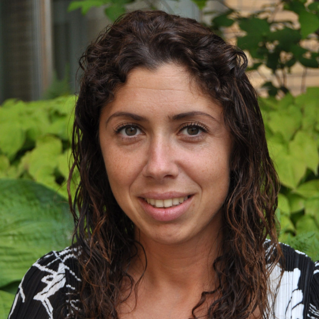 Analysis Danger Statements, Safety Goals and Safety Scaling Questions